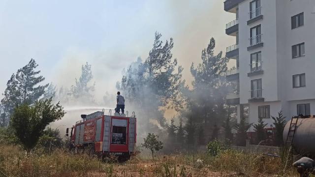 Osmaniye'deki orman yangınında 4 gözaltı