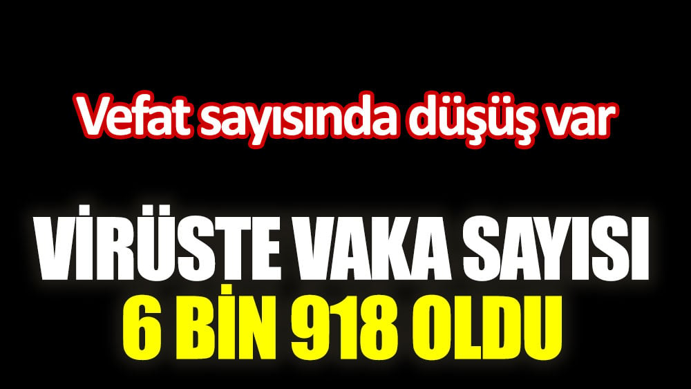 Virüste vaka sayısı 6 bin 918 oldu