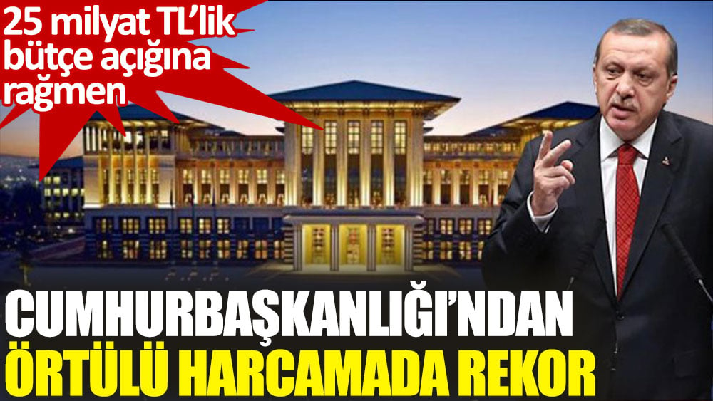 Cumhurbaşkanlığı’ndan örtülü harcamada rekor