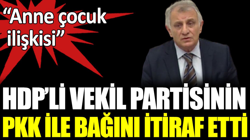 HDP'li vekil partisinin PKK ile bağını itiraf etti