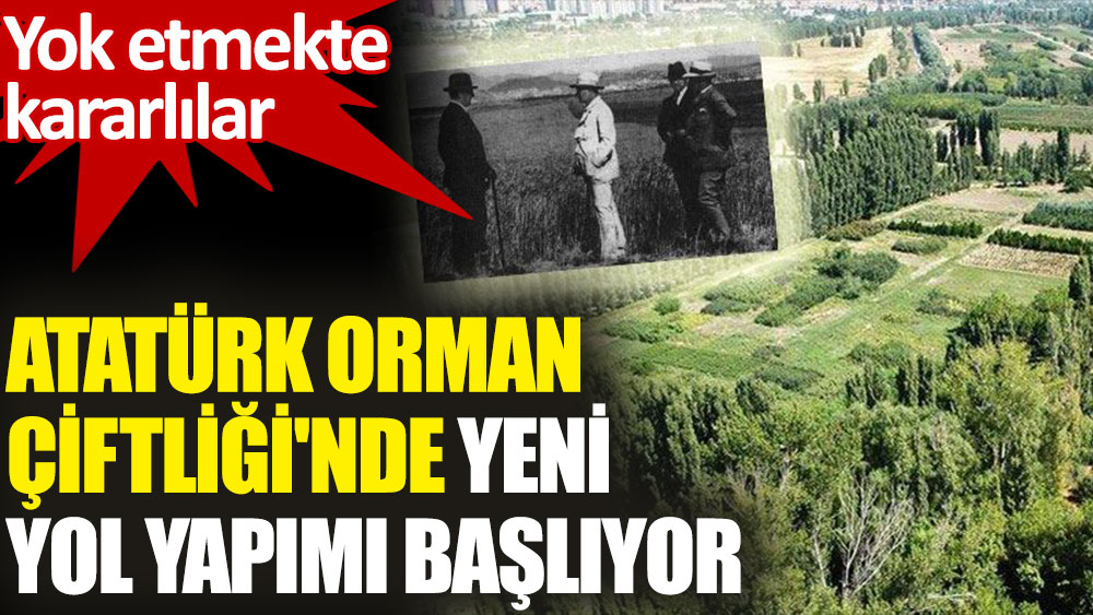 Atatürk Orman Çiftliği'nde yeni yol yapımı başlıyor