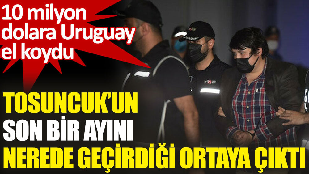 Tosuncuk lakaplı Mehmet Aydın'ın son bir ayını nerede geçirdiği ortaya çıktı