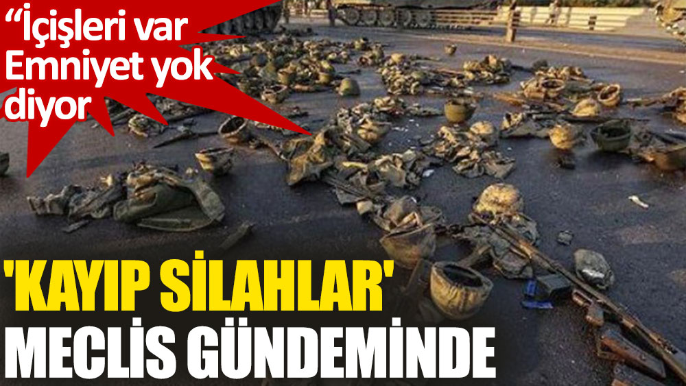 CHP'li Gamze Taşcıer, kayıp silahları Meclis gündemine taşıdı
