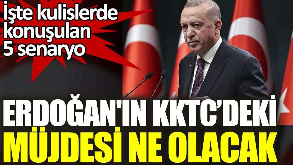 Erdoğan'ın KKTC’deki müjdesi ne olacak. İşte kulislerde konuşulan 5 senaryo