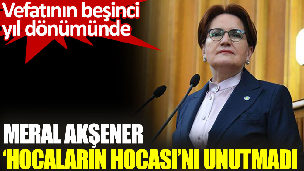 İYİ Parti Lideri Akşener, vefatının beşinci yıl dönümünde Halil İnalcık'ı andı