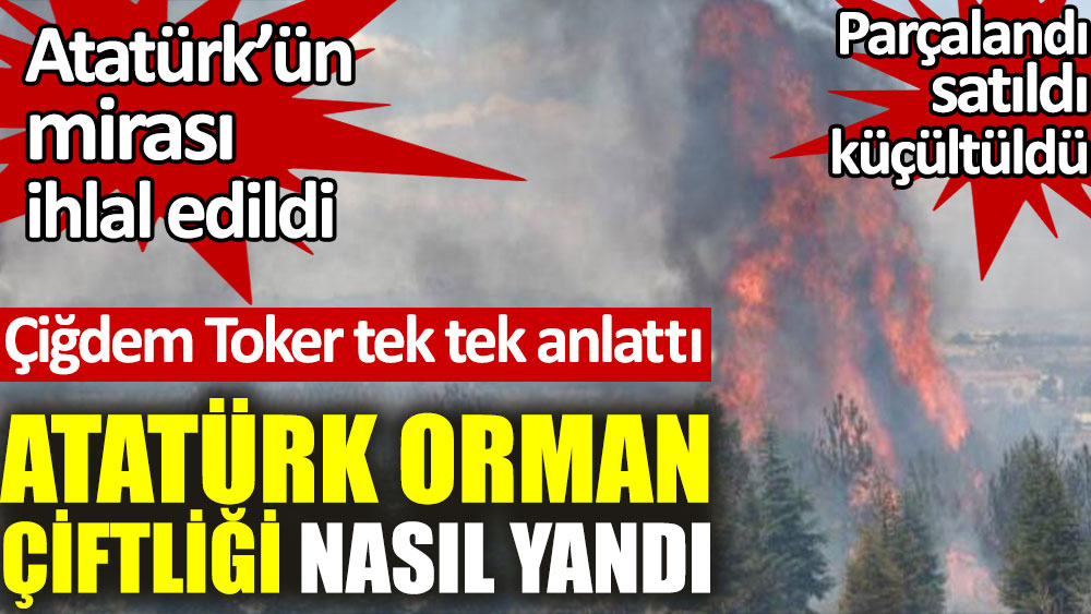 Atatürk Orman Çiftliği nasıl yandı?