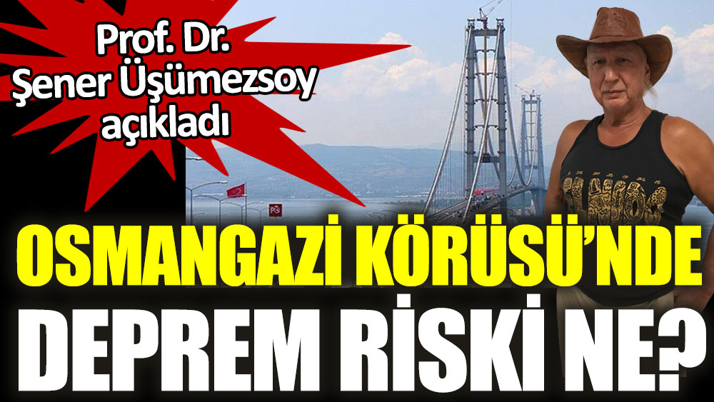 Osmangazi Köprüsü'nde deprem riski ne?