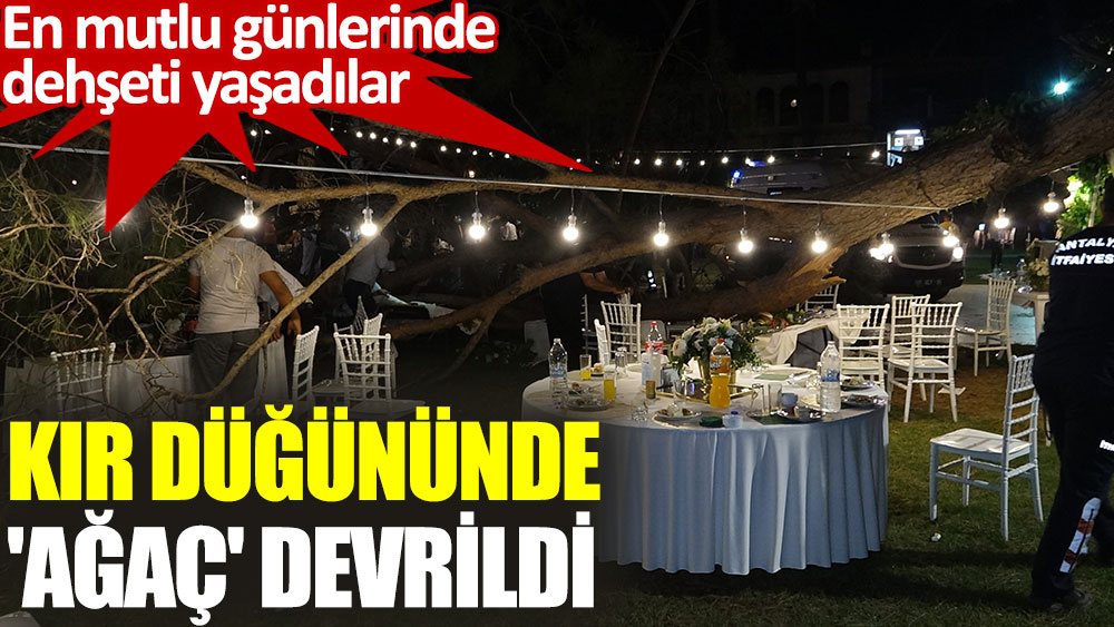 Antalya'da kır düğününde 'ağaç' devrildi: 2'si ağır 10 yaralı