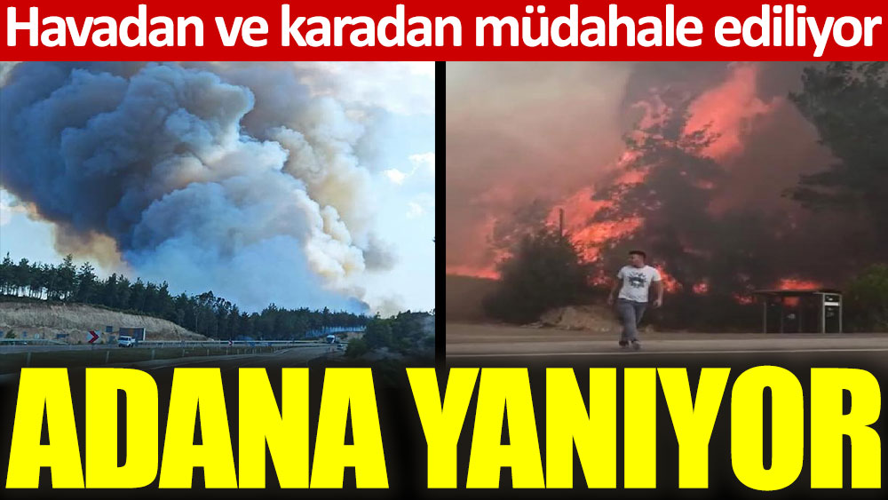 Adana'da Sarıçam ve Kozan'da orman yangını