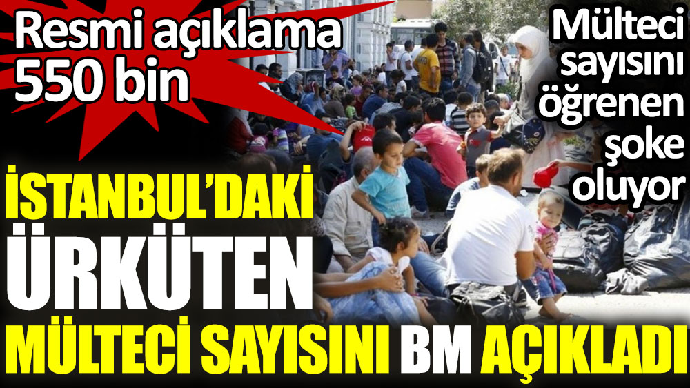 İstanbul'daki ürküten mülteci sayısını BM açıkladı