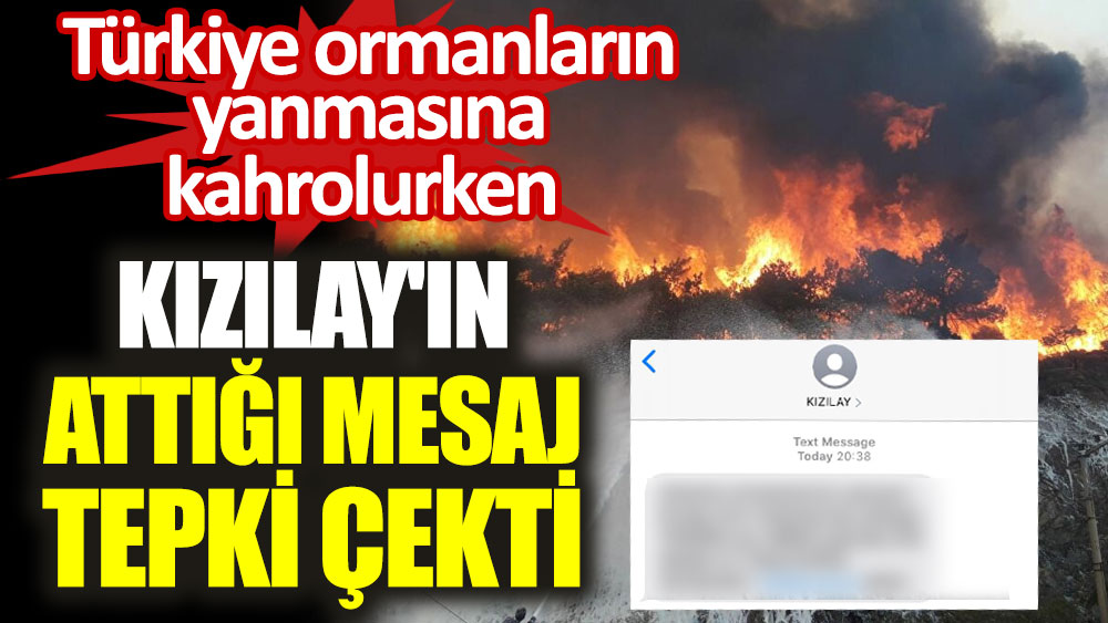 Türkiye ormanların yanmasına kahrolurken Kızılay'ın attığı mesaj tepki çekti
