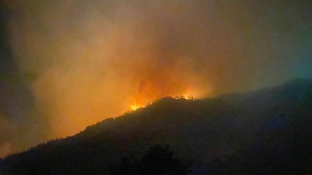 Gazipaşa'da da orman yangını başladı
