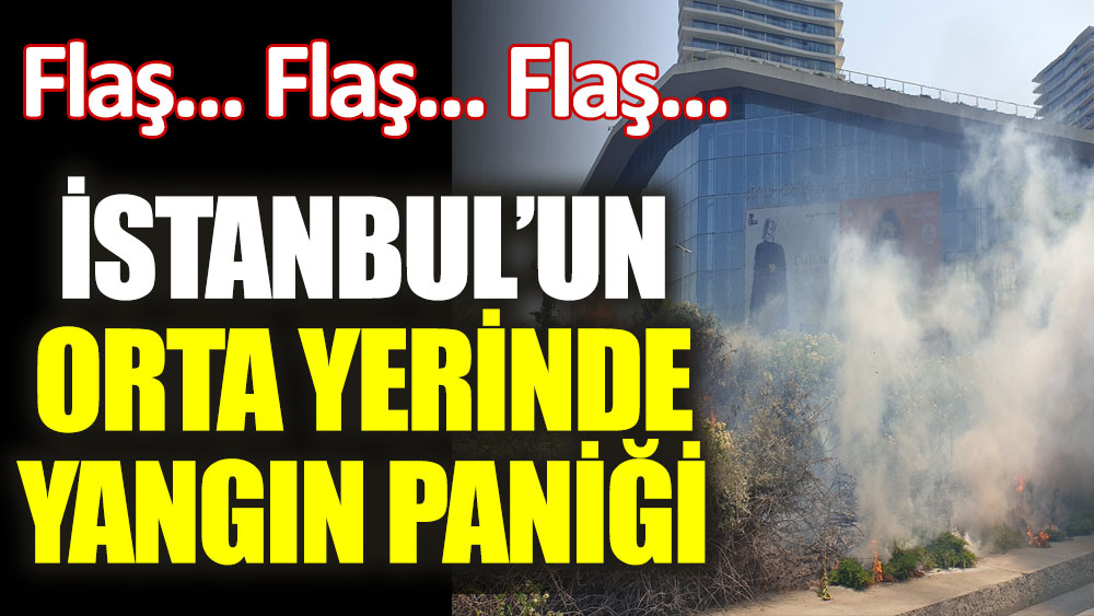 İstanbul'un orta yerinde yangın paniği