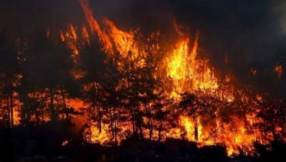 Samsun'da orman yangını; 7 hektarlık alan zarar gördü