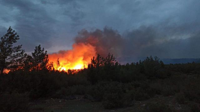 Muğla Kavaklıdere'deki yangın kontrol altına alındı