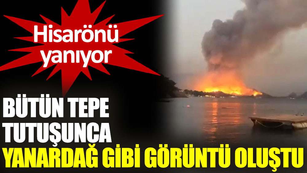 Prof. Dr. Çağatay Tavşanoğlu: 150 yıldır yanmayan ormanlar yandı