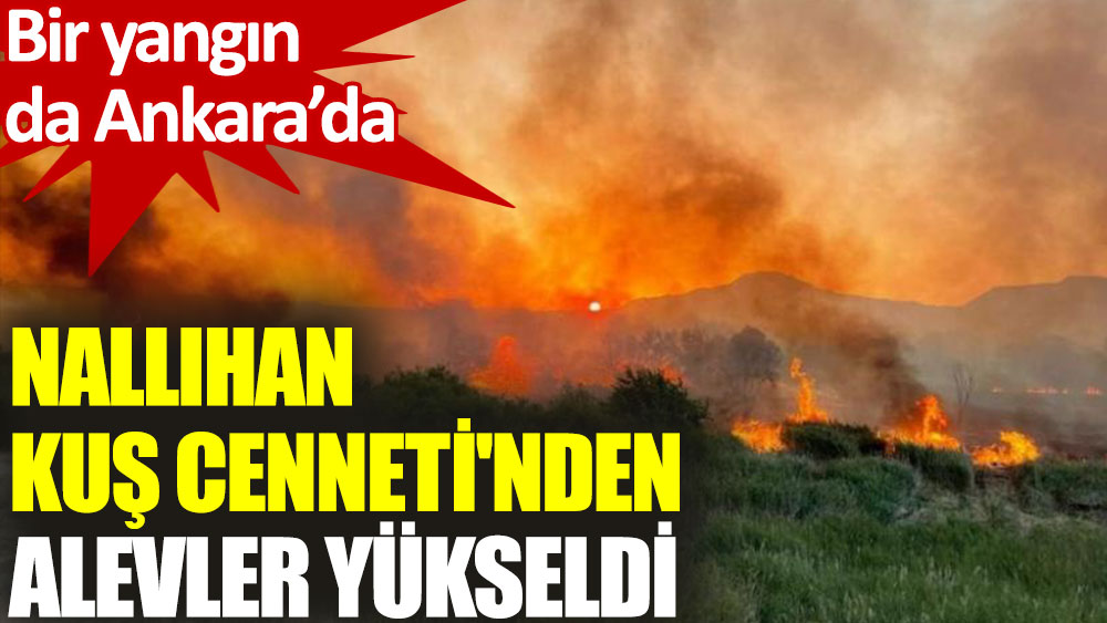 Ankara Nallıhan Kuş Cenneti'nden alevler yükseldi