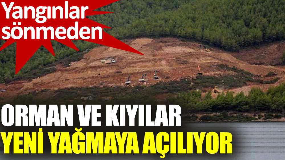 Türkiye Ormancılar Derneği: Bu acımasız rant anlayışından acilen vazgeçilmelidir