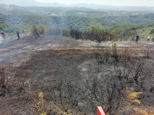 Zonguldak’ta 1 dönüm orman alanı yandı