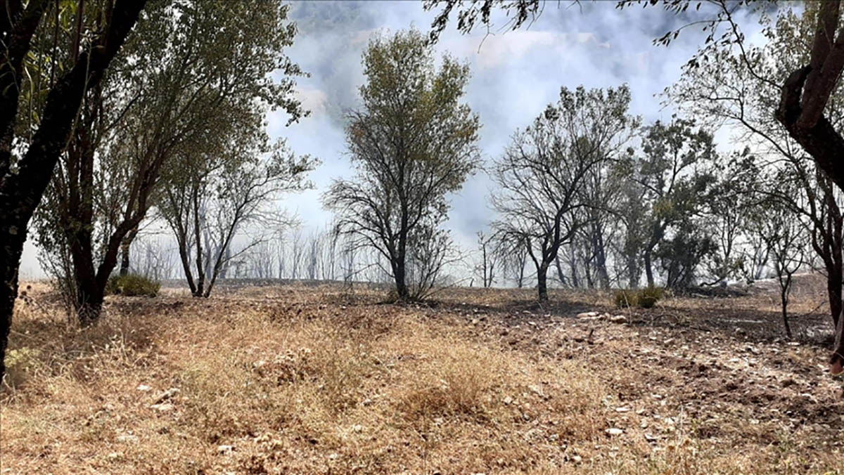 Dursunbey'deki orman yangın kontrol altına alındı