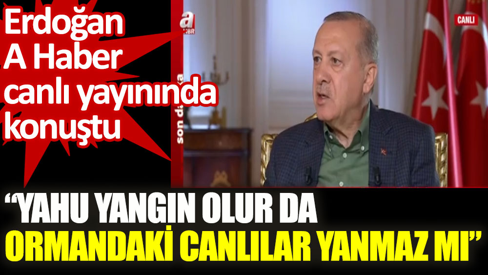 Erdoğan A Haber canlı yayınında konuştu. Yahu yangın olur da ormandaki canlılar yanmaz mı