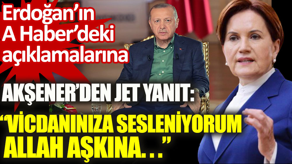 Erdoğan’ın yangınlarla ilgili açıklamalarına Meral Akşener’den jet yanıt