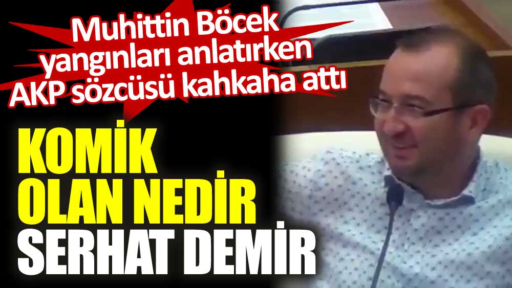 Muhittin Böcek yangınları anlatırken gülen AKP sözcüsü Serhat Demir tepki çekti