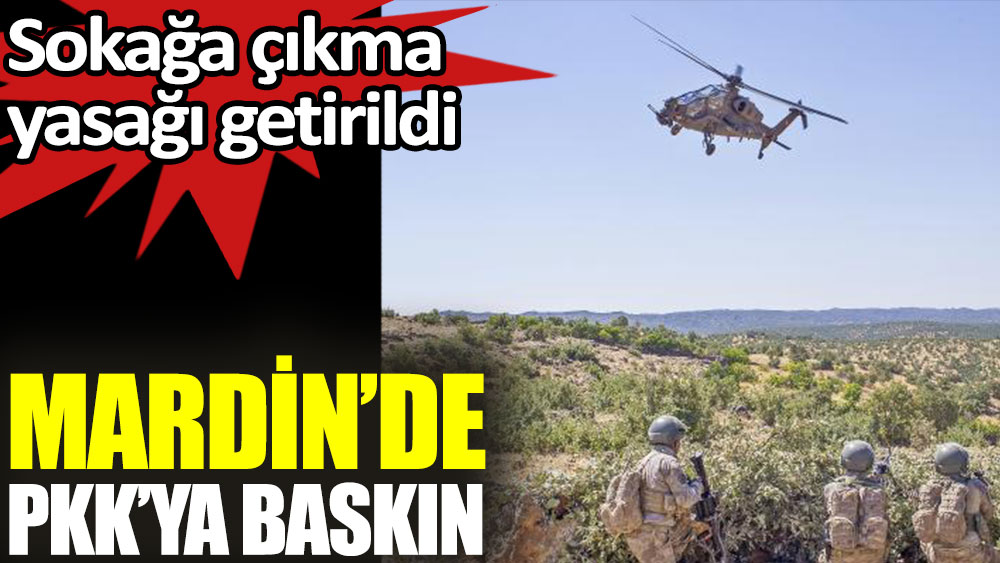 Mardin’de PKK'ya baskın