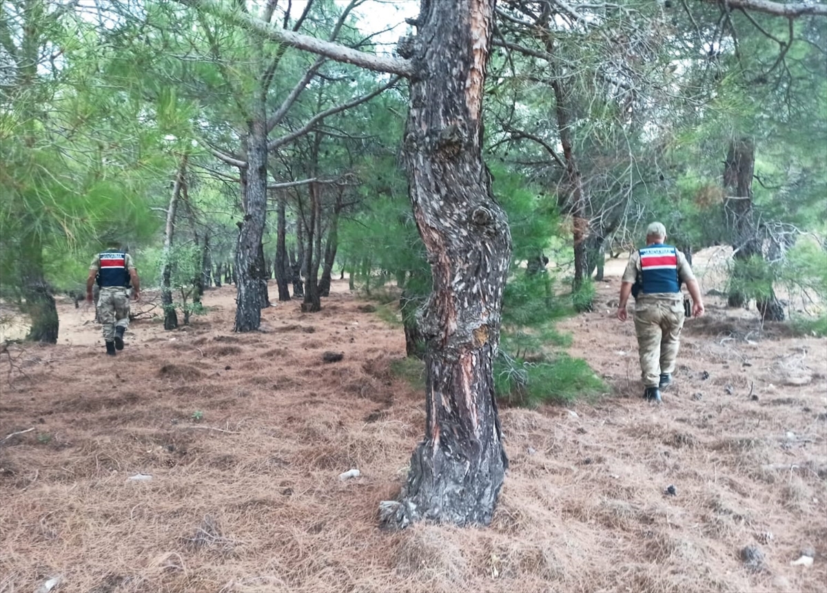 Malatya'da ormanlık alanlarda mola ve piknik yasağı