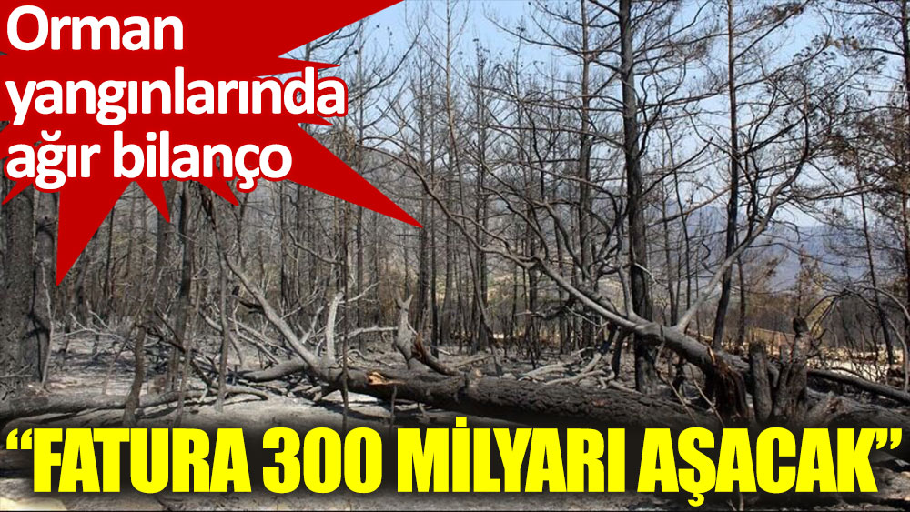 CHP'li Budak: Yangınların faturası 300 milyarı aşacak