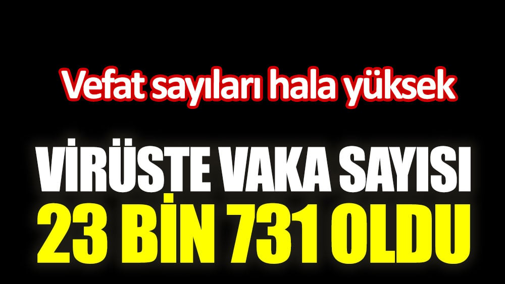 Virüste vaka sayısı 23 bin 731 oldu