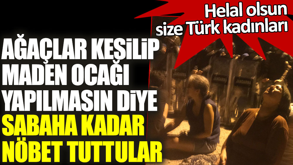 Helal olsun size Türk kadınları! Ağaçlar kesilip maden ocağı yapılmasın diye sabaha kadar nöbet tuttular