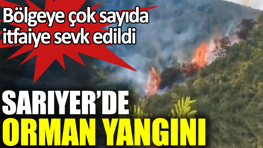 İstanbul Sarıyer'de orman yangını çıktı