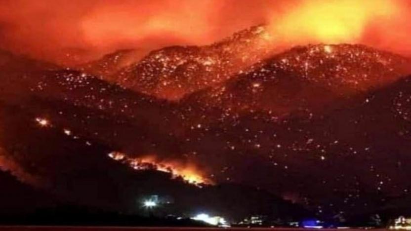 Cezayir'de orman yangınlarında ölü sayısı 7'ye yükseldi