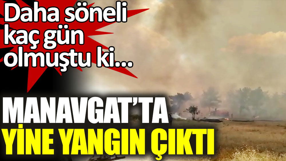 Antalya Manavgat'ta yine yangın çıktı