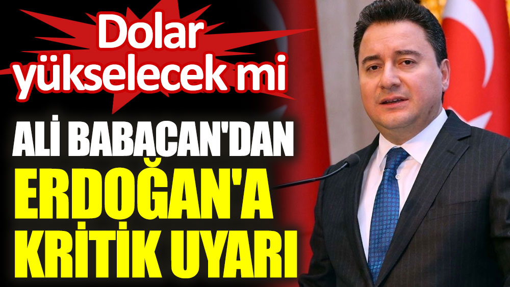 Dolar yükselecek mi. Ali Babacan'dan Erdoğan'a kritik uyarı