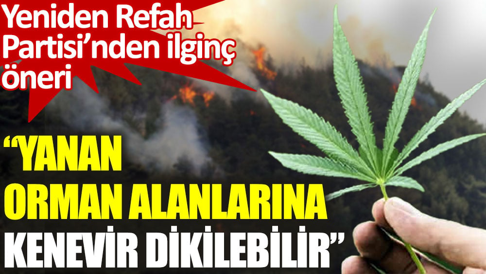Yeniden Refah Partisi önerdi: Yanan orman alanlarına geçici olarak kenevir dikilebilir!