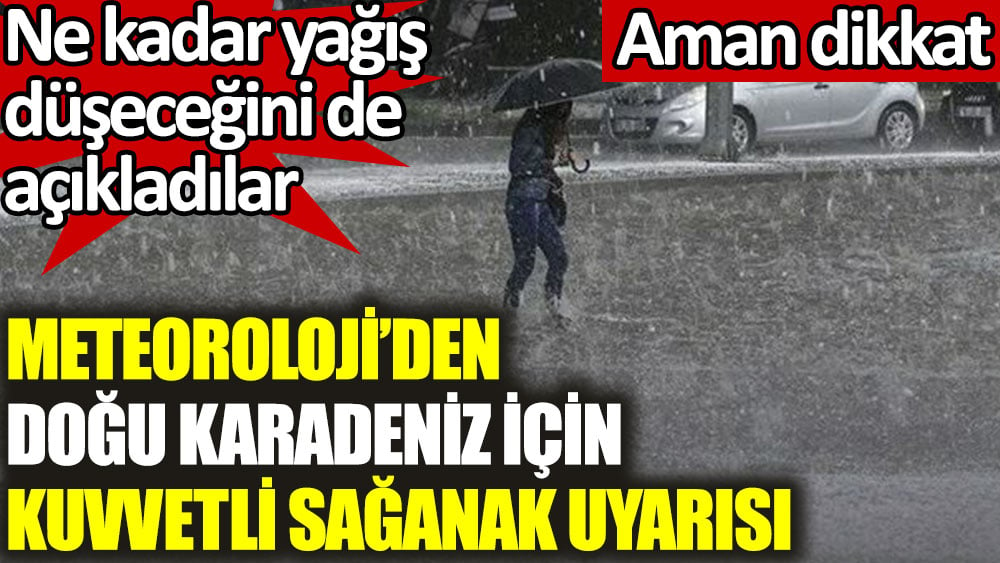 Meteoroloji'den Doğu Karadeniz için kuvvetli sağanak uyarısı