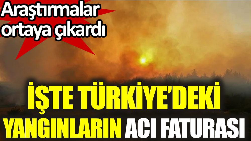 Sydney Teknoloji Üniversitesi Türkiye'deki yangınların acı faturasını ortaya çıkardı