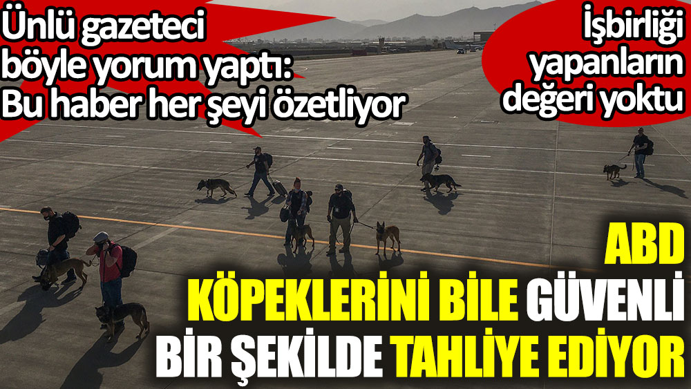 ABD'nin köpeklerini bile güvenli bir şekilde tahliye etmesine ünlü gazeteci böyle yorum yaptı