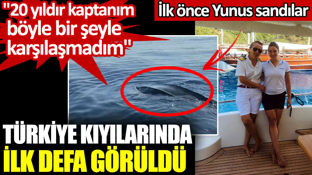 Türkiye kıyılarında ilk defa görüldü. İlk önce Yunus sandılar