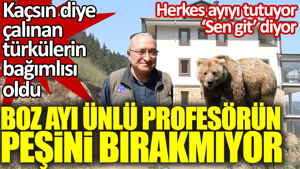 Boz ayı ünlü meteoroloji profesörü Mikdat Kadıoğlu’nun peşini bırakmıyor. Kaçsın diye çalınan türkülerin bağımlısı oldu