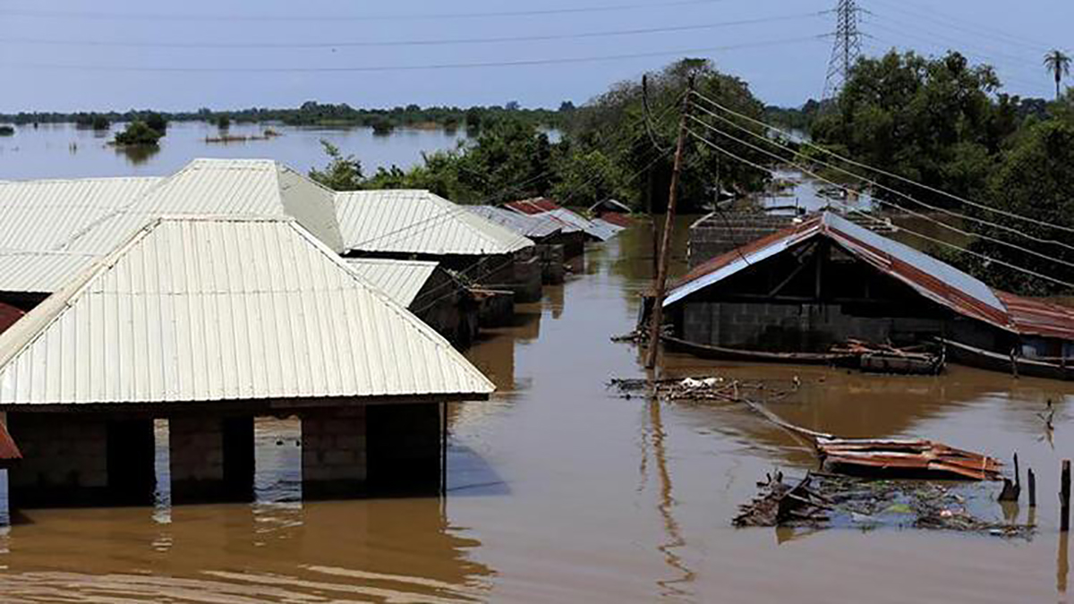 Nijerya'da sel felaketi: 20 ölü