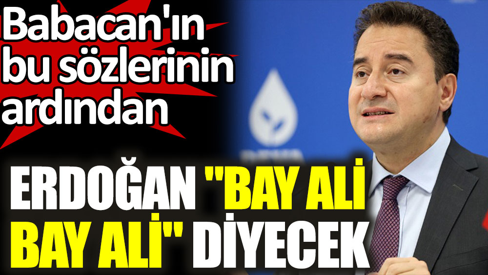 Babacan'ın bu sözlerinin ardından Erdoğan Bay Ali Bay Ali diyecek