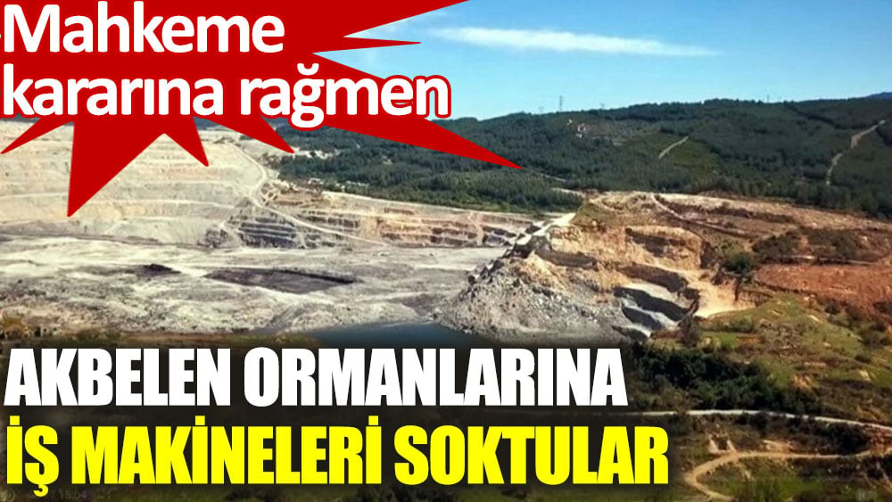 Akbelen ormanlarına mahkeme kararına rağmen iş makineleri soktular