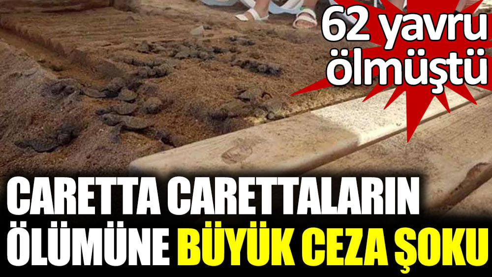 Caretta carettaların ölümüne büyük ceza şoku