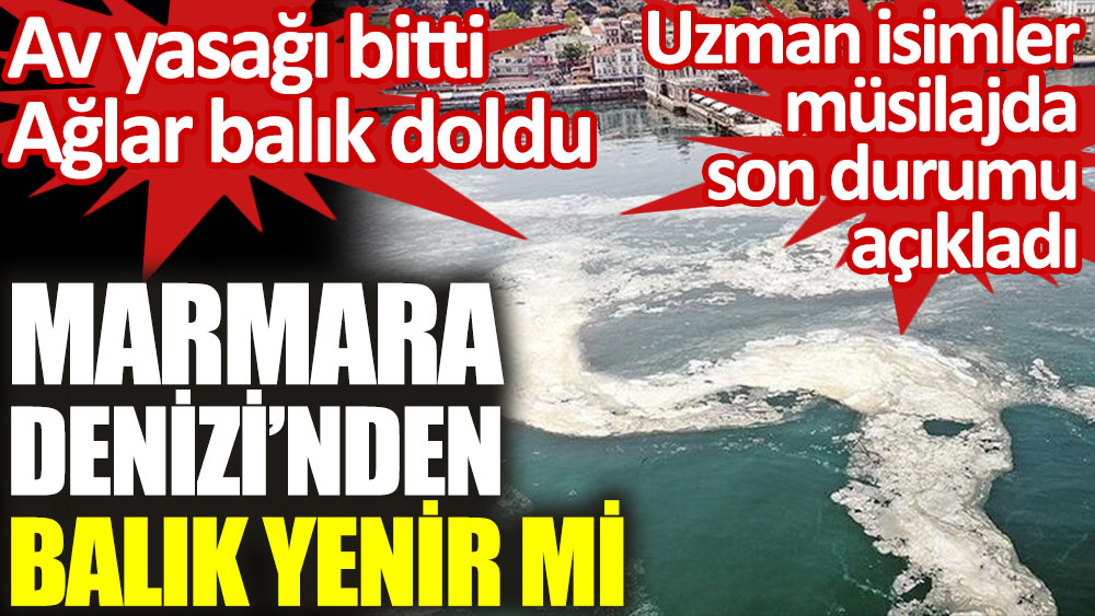 Marmara Denizi'nden balık yenir mi. Uzman isimler açıkladı