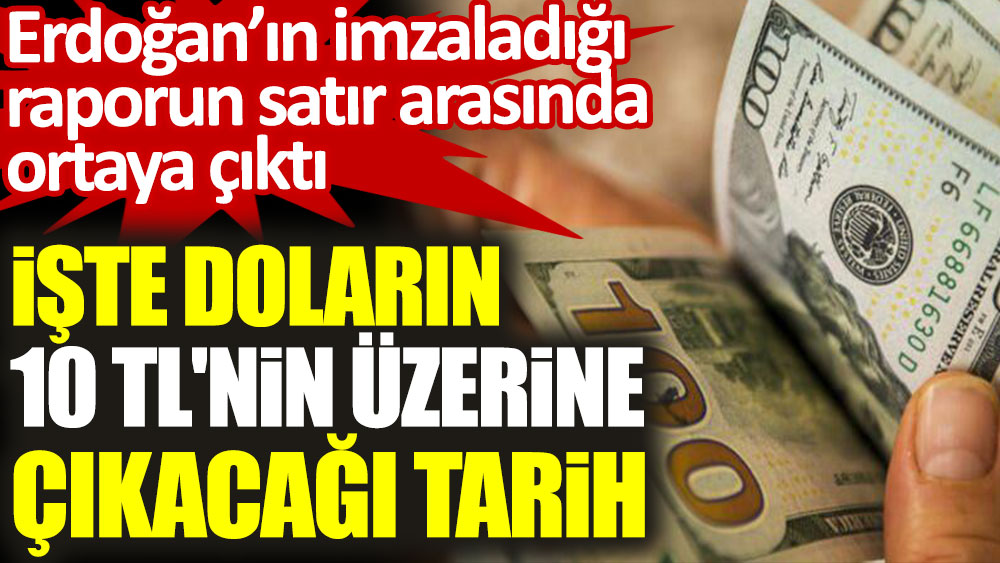 Doların 10 TL'nin üzerine çıkacağı tarih. Erdoğan'ın imzaladığı raporda ortaya çıktı.