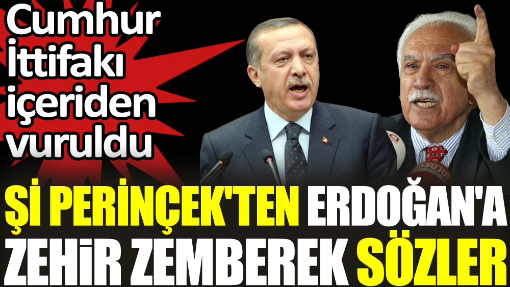 Şi Perinçek'ten Erdoğan'a zehir zemberek sözler