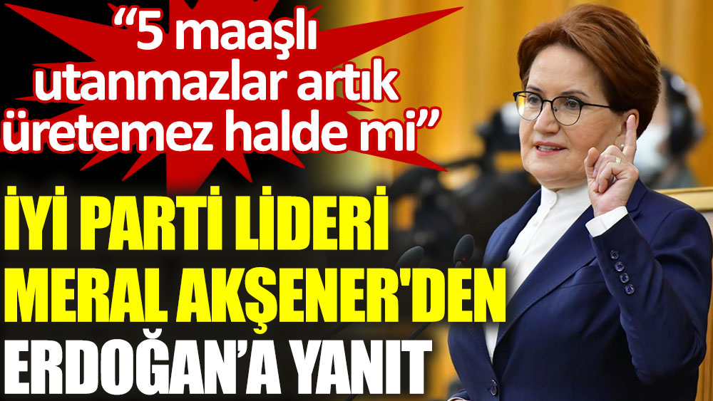 İYİ Parti Lideri Meral Akşener’den Erdoğan’a yanıt: Bu kadar mı tükendin?